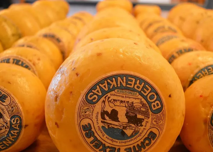 On Texel With Stunning Views *