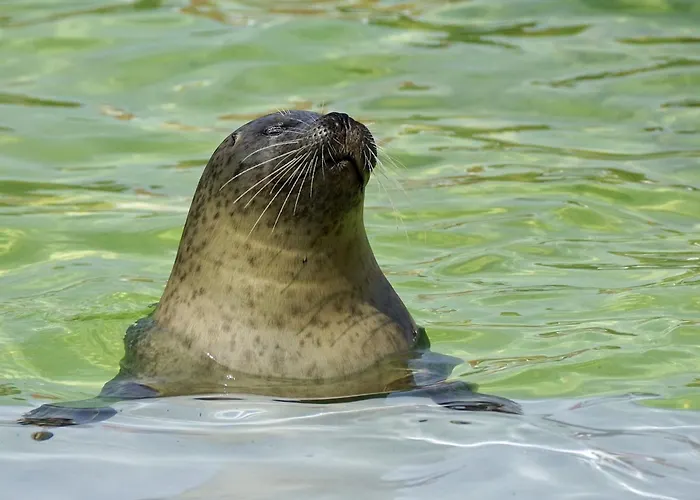Feriehus On Texel With Stunning Views *