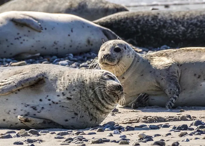 On Texel With Stunning Views *