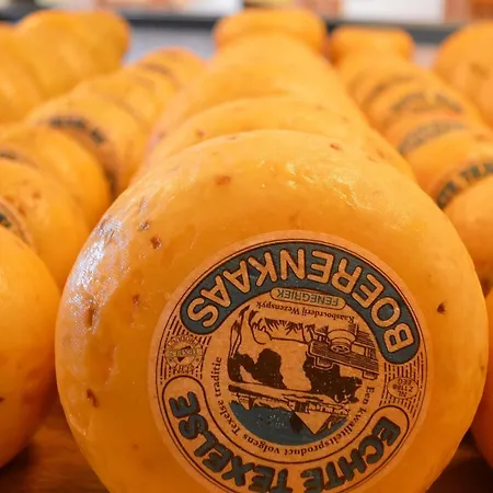 On Texel With Stunning Views *