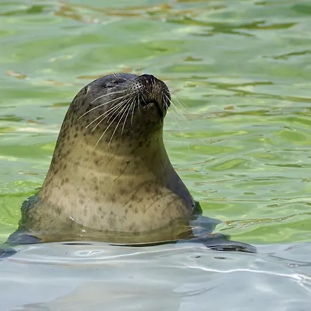 Сasa de vacaciones On Texel With Stunning Views *