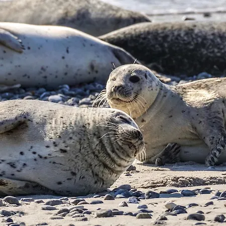 On Texel With Stunning Views *